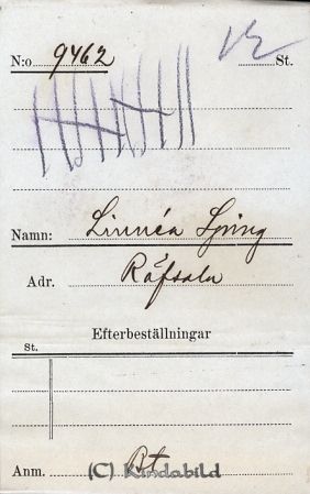 Linnéa Ljung  Räfsala
Linnéa Ljung  Räfsala
Nyckelord: Ljung Räfsala