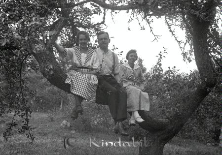 Grupporträtt en man 2 kvinnor  i träd
godj
Grupporträtt en man 2 kvinnor  i träd
Nyckelord: Grupporträtt