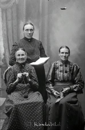 Farman  Kisa
godj
Farman  Kisa
�?verst i bild. Dotter Helena Farman - sittande, fr. v. Mor Stina-Greta Farman och dotter Lovisa Ramstedt, född Farman
Grupporträtt med 3 kvinnor      
mayca
Stina Greta Nilsdotter född 1833-06-11 i Misterfall Kisa död 1917-10-27. Gift 1851-12-27 med Erik Johansson Farman född 1823-09-07 i Arnebostugan L. Tidersrum död 1892-07-03. Dottern Anna Lovisa född 1858-09-27 i Herrefall Kjettestorp Kisa död 1911-09-12 i Hagstugan Kisa. Gift 1877-03-17 med Peter August Ramstedt född 1853-03-29 i Mostugan Hudda Tidersrum död 1934-06-17 i Hagstugan Kisa. Dottern Helena Gustava född 1863-12-12 el 17 död 1938-06-01.
Nyckelord: Farman Kisa