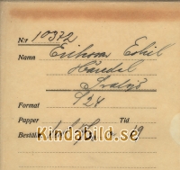 Falk_-_10372_-_bak.jpg