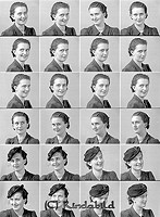 Filnamn=Falk - 5445.jpg
Filstorlek=57KiB
Dimensioner=330x450
Uppladdade datum=Okt 06, 2015 Falk - 5445.jpg