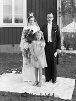 Filnamn=Falk - 5543c.jpg
Filstorlek=51KiB
Dimensioner=342x450
Uppladdade datum=Okt 06, 2015 Falk - 5543c.jpg