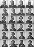 Filnamn=Falk - 6483.jpg
Filstorlek=62KiB
Dimensioner=330x450
Uppladdade datum=Okt 06, 2015 Falk - 6483.jpg