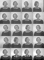 Filnamn=Falk - 6485.jpg
Filstorlek=48KiB
Dimensioner=330x450
Uppladdade datum=Okt 06, 2015 Falk - 6485.jpg