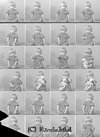 Filnamn=Falk - 6491.jpg
Filstorlek=44KiB
Dimensioner=330x450
Uppladdade datum=Okt 06, 2015 Falk - 6491.jpg