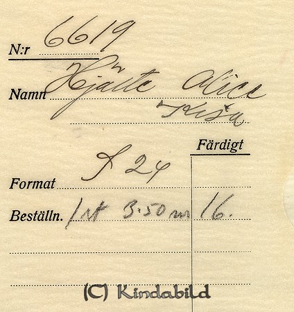 Falk - 6619z - bak.jpg