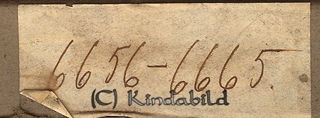 Falk - Box 6656 - 6665 - sidnr.jpg