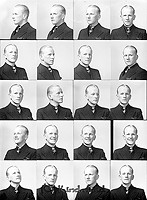 Filnamn=Falk - 6670.jpg
Filstorlek=51KiB
Dimensioner=330x450
Uppladdade datum=Okt 06, 2015 Falk - 6670.jpg
