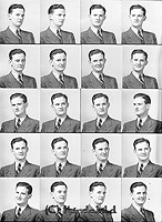 Filnamn=Falk - 6671.jpg
Filstorlek=59KiB
Dimensioner=329x450
Uppladdade datum=Okt 06, 2015 Falk - 6671.jpg