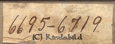 Falk - Box 6695 - 6719 - sidnr.jpg