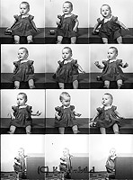 Filnamn=Falk - 6757.jpg
Filstorlek=49KiB
Dimensioner=333x450
Uppladdade datum=Okt 06, 2015 Falk - 6757.jpg