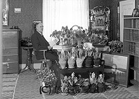 Filnamn=Falk - 6839b.jpg
Filstorlek=61KiB
Dimensioner=450x321
Uppladdade datum=Okt 06, 2015 Falk - 6839b.jpg
