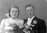 Filnamn=Falk - 6845a.jpg
Filstorlek=34KiB
Dimensioner=450x319
Uppladdade datum=Okt 06, 2015 Falk - 6845a.jpg