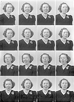Filnamn=Falk - 6862.jpg
Filstorlek=51KiB
Dimensioner=329x450
Uppladdade datum=Okt 06, 2015 Falk - 6862.jpg