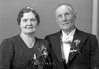 Filnamn=Falk - 6877a.jpg
Filstorlek=32KiB
Dimensioner=450x316
Uppladdade datum=Okt 06, 2015 Falk - 6877a.jpg
