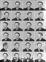 Filnamn=Falk - 6911.jpg
Filstorlek=52KiB
Dimensioner=330x450
Uppladdade datum=Okt 06, 2015 Falk - 6911.jpg