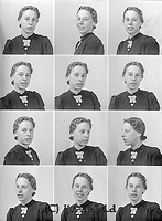 Filnamn=Falk - 6964.jpg
Filstorlek=44KiB
Dimensioner=330x450
Uppladdade datum=Okt 06, 2015 Falk - 6964.jpg