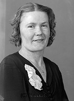 Filnamn=Falk - 6971c.jpg
Filstorlek=35KiB
Dimensioner=330x450
Uppladdade datum=Okt 06, 2015 Falk - 6971c.jpg
