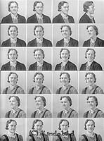 Filnamn=Falk - 6973.jpg
Filstorlek=56KiB
Dimensioner=333x450
Uppladdade datum=Okt 06, 2015 Falk - 6973.jpg