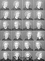 Filnamn=Falk - 6975.jpg
Filstorlek=52KiB
Dimensioner=332x450
Uppladdade datum=Okt 06, 2015 Falk - 6975.jpg