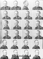 Filnamn=Falk - 7011.jpg
Filstorlek=53KiB
Dimensioner=330x450
Uppladdade datum=Okt 06, 2015 Falk - 7011.jpg