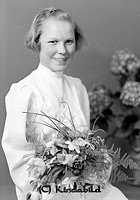 Filnamn=Falk - 7029c.jpg
Filstorlek=32KiB
Dimensioner=316x450
Uppladdade datum=Okt 06, 2015 Falk - 7029c.jpg