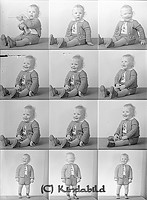 Filnamn=Falk - 7043.jpg
Filstorlek=43KiB
Dimensioner=330x450
Uppladdade datum=Okt 06, 2015 Falk - 7043.jpg