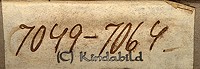 Falk - Box - 7049 - 7064 - sidnr.jpg
