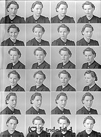 Filnamn=Falk - 7071.jpg
Filstorlek=54KiB
Dimensioner=331x450
Uppladdade datum=Okt 06, 2015 Falk - 7071.jpg