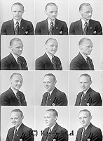Filnamn=Falk - 7141.jpg
Filstorlek=45KiB
Dimensioner=331x450
Uppladdade datum=Okt 06, 2015 Falk - 7141.jpg