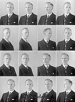 Filnamn=Falk - 7226.jpg
Filstorlek=45KiB
Dimensioner=333x450
Uppladdade datum=Okt 06, 2015 Falk - 7226.jpg