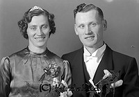 Filnamn=Falk - 7298a.jpg
Filstorlek=36KiB
Dimensioner=450x316
Uppladdade datum=Okt 06, 2015 Falk - 7298a.jpg
