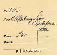 Falk - 7313z - bak.jpg