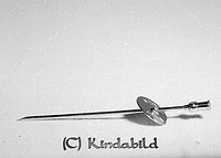 Filnamn=Falk - 7386c.jpg
Filstorlek=40KiB
Dimensioner=450x321
Uppladdade datum=Okt 06, 2015 Falk - 7386c.jpg