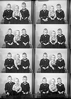 Filnamn=Falk - 7491.jpg
Filstorlek=56KiB
Dimensioner=326x450
Uppladdade datum=Okt 06, 2015 Falk - 7491.jpg