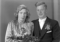 Filnamn=Falk - 7497e.jpg
Filstorlek=36KiB
Dimensioner=450x316
Uppladdade datum=Okt 06, 2015 Falk - 7497e.jpg