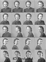 Filnamn=Falk - 7561.jpg
Filstorlek=49KiB
Dimensioner=330x450
Uppladdade datum=Okt 06, 2015 Falk - 7561.jpg