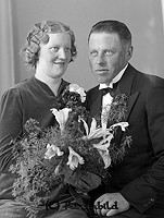 Filnamn=Falk - 7592c.jpg
Filstorlek=47KiB
Dimensioner=340x450
Uppladdade datum=Okt 06, 2015 Falk - 7592c.jpg