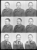 falk - 8342.JPG