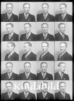Filnamn=falk - 8359.JPG
Filstorlek=94KiB
Dimensioner=332x450
Uppladdade datum=Okt 20, 2016 falk - 8359.JPG