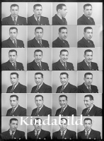 Filnamn=falk - 8365.JPG
Filstorlek=96KiB
Dimensioner=332x450
Uppladdade datum=Okt 20, 2016 falk - 8365.JPG