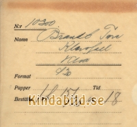 Falk_-_10300_-_bak.jpg