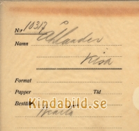 Falk_-_10317_-_bak.jpg