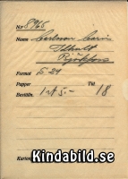 Falk - 8965 - bak.jpg