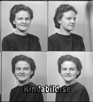 Filnamn=Falk - 9165.jpg
Filstorlek=350KiB
Dimensioner=936x1024
Uppladdade datum=Mar 28, 2017 Falk - 9165.jpg