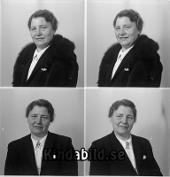 Filnamn=Falk - 9391.jpg
Filstorlek=317KiB
Dimensioner=988x1024
Uppladdade datum=Maj 09, 2017 Falk - 9391.jpg