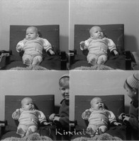 Filnamn=Falk - 10078z.jpg
Filstorlek=33KiB
Dimensioner=440x450
Uppladdade datum=Nov 21, 2008 Falk - 10078z.jpg