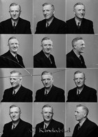 Falk - 11497.jpg