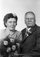 Falk - 11501b.jpg