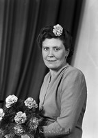 Falk - 11501d.jpg